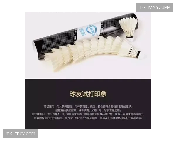 手球如何导致进攻机会被取消？规则细节全解析