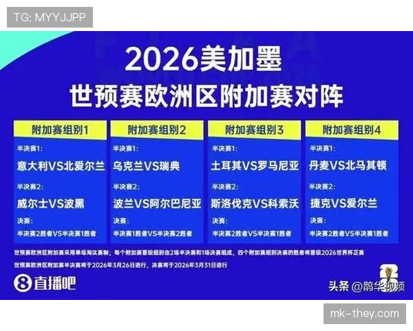 2026世界杯完整版晋级决定详解